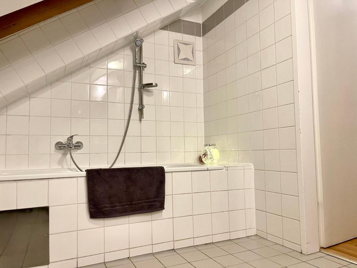 Klimatisiertes, Ruhiges Dachgeschoss Cityapartment Im Zentrum Wiens Appartamento